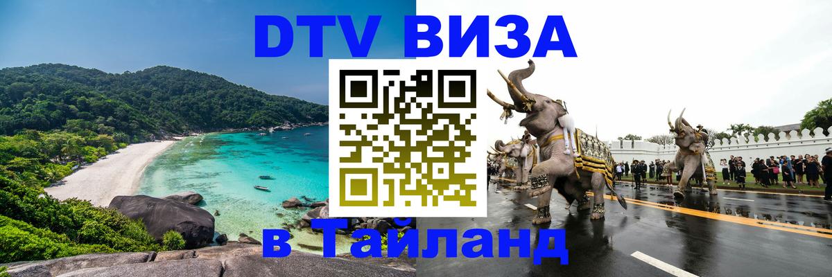 Сколько стоит DTV виза — актуальные цены, оформление даже без документов - Великий Новгород 